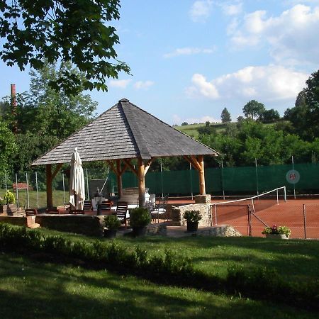 Chateau Radvanov Pension Mlada Vozice エクステリア 写真