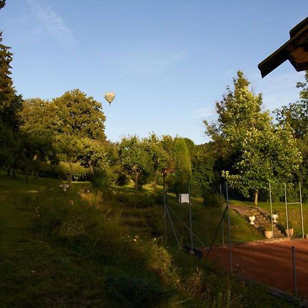 Chateau Radvanov Pension Mlada Vozice エクステリア 写真